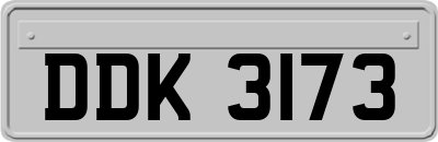 DDK3173