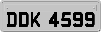 DDK4599