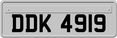 DDK4919