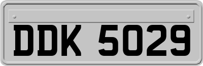 DDK5029