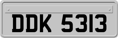 DDK5313