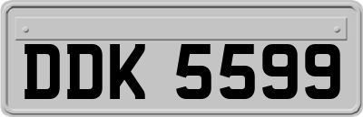 DDK5599