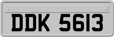 DDK5613