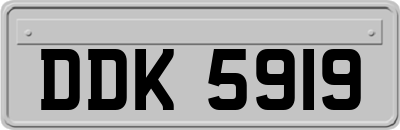 DDK5919