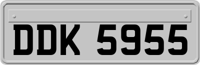 DDK5955