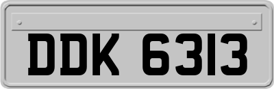 DDK6313