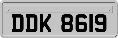 DDK8619