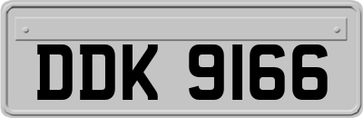 DDK9166