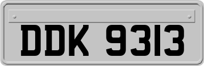DDK9313
