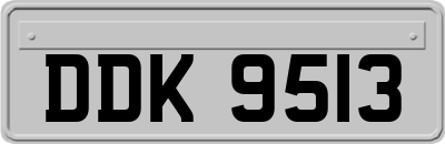 DDK9513