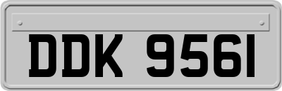 DDK9561