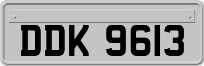 DDK9613