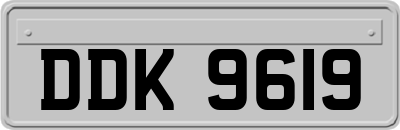 DDK9619