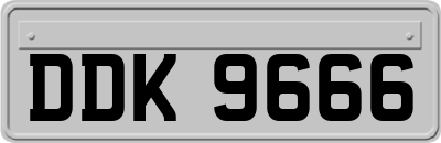 DDK9666