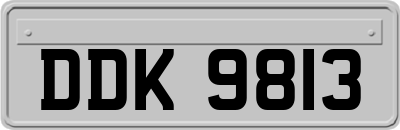 DDK9813