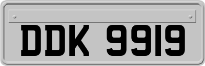 DDK9919