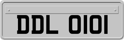 DDL0101