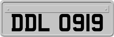 DDL0919