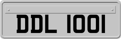 DDL1001