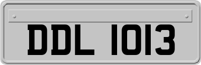DDL1013