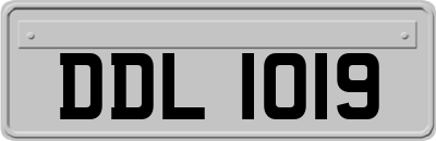 DDL1019