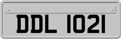 DDL1021
