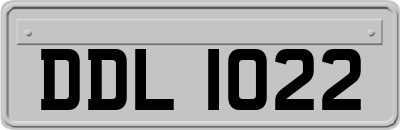 DDL1022