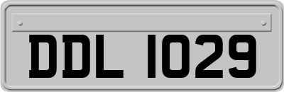 DDL1029