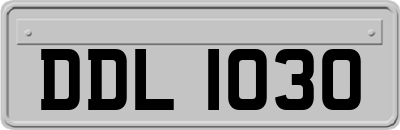 DDL1030