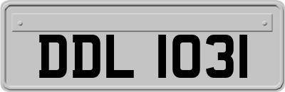 DDL1031