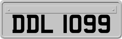 DDL1099