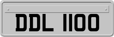 DDL1100