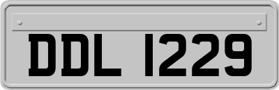 DDL1229