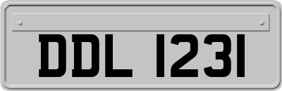 DDL1231