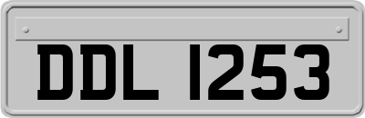 DDL1253