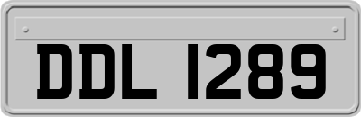 DDL1289