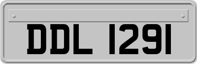 DDL1291