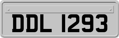 DDL1293