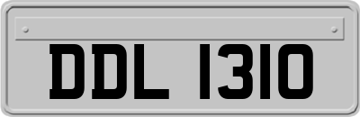 DDL1310