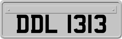 DDL1313