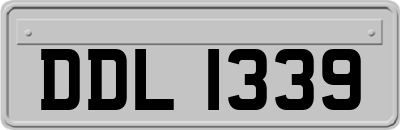 DDL1339