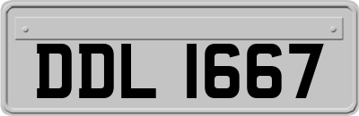 DDL1667