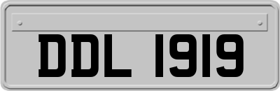 DDL1919
