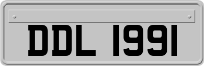 DDL1991