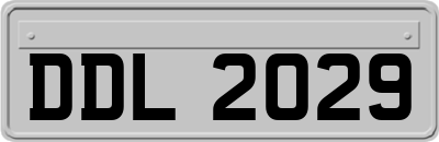 DDL2029