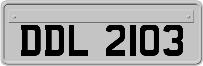 DDL2103