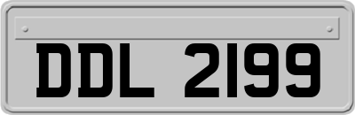 DDL2199