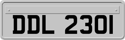 DDL2301
