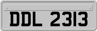 DDL2313