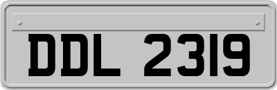 DDL2319